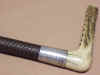 Whip and Crop 3 .JPG (99600 bytes)